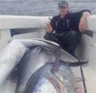 June 2013 Tuna caught by Tim Brady of Fulmar Charters
